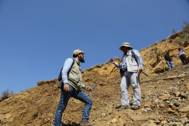 Türkiye'de ilk kez 'doğal kehribar' tespit edilen saha inceleniyor
